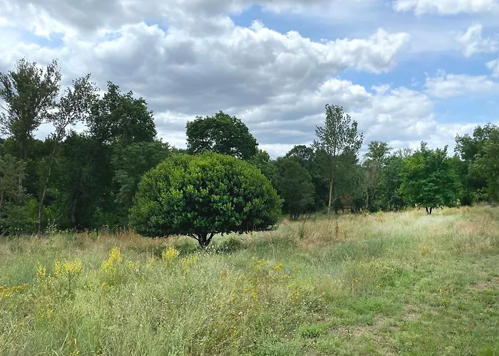 Avec Acces Prive A La Riviere