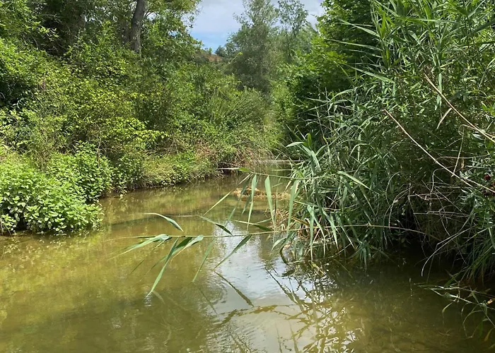 Avec Acces Prive A La Riviere Ladern-sur-Lauquet